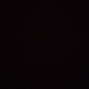 Meet your Posher, Maggie